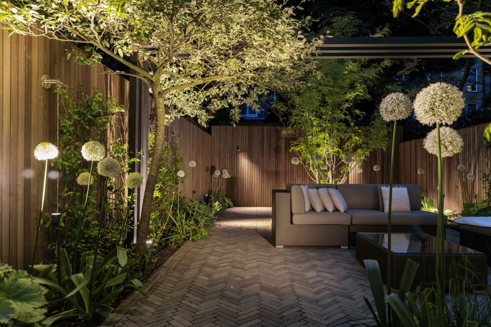 Moderne karakteristieke stadstuin met dakterras